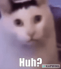 1746214290395.gif
